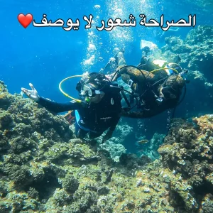 Paradive-Club (18)
