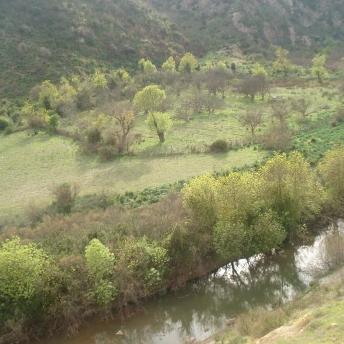 Souk-ahras_Gardens