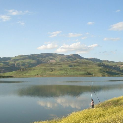 Souk-ahras_barage