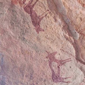 Tadrat-rpuge-tamiramar-voyage (2)