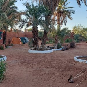 Wafi Bivouac 6