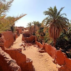 Wafi Bivouac ext