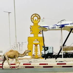 aeroport-aguenar-hadj-bey-akhamok-tamanrasset-tmr (7)