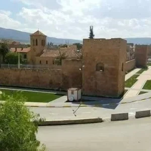 aeroport-cheikh-larbi-tebessi-tebessa-tee (10)