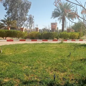 aeroport-takhamalt-illizi-vvz (5)
