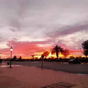 aeroport-tindouf-tin (6)