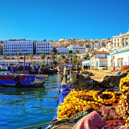 alger1