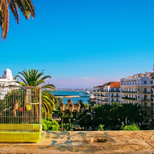 alger13