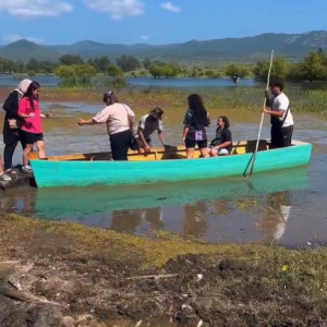 ali-thailandi-lac-tonga