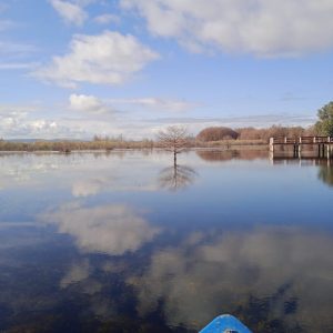 ali-thailandi-lac-tonga-v (7)