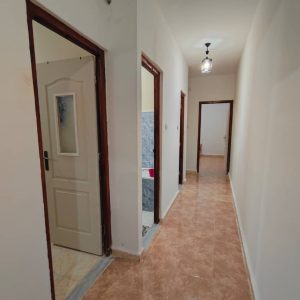 appartement-f3-location-felfla-skikda (8)