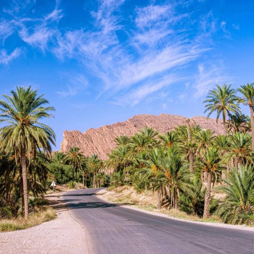 bechar7