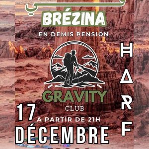 bivoic-brézina-gravity (2)