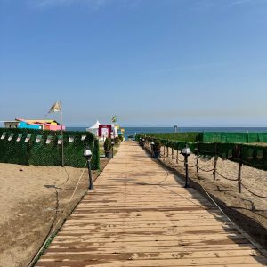 camping-les-pins-dor-zemmouri (13)