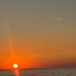 camping-les-pins-dor-zemmouri (2)
