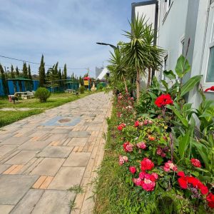 camping-les-pins-dor-zemmouri (41)