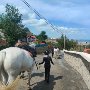 club-equestre-le-grand-bleu (11)