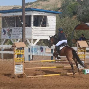 club-equestre-le-grand-bleu (14)