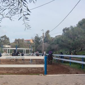 club-equestre-le-grand-bleu (24)