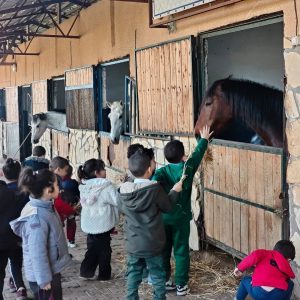 club-equestre-le-grand-bleu (26)