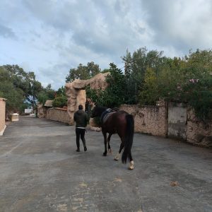 club-equestre-le-grand-bleu (28)