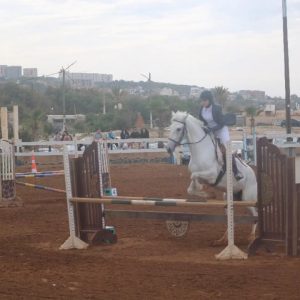 club-equestre-le-grand-bleu (3)