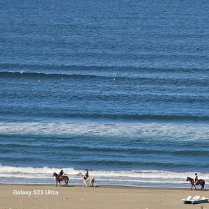 club-equestre-le-grand-bleu (33)