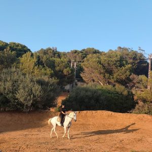 club-equestre-le-grand-bleu (35)