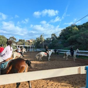 club-equestre-le-grand-bleu (38)