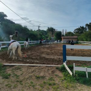 club-equestre-le-grand-bleu (4)