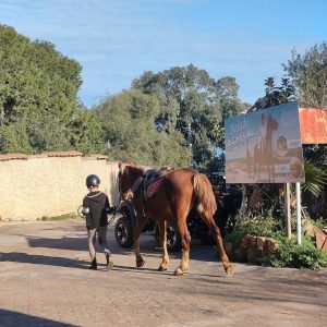 club-equestre-le-grand-bleu (45)