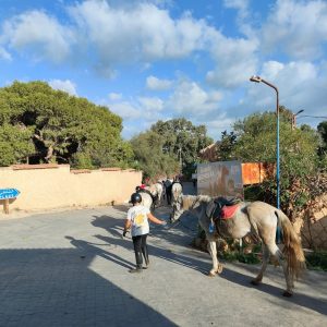 club-equestre-le-grand-bleu (46)