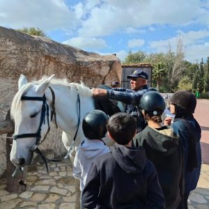 club-equestre-le-grand-bleu (47)