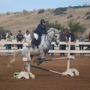 club-equestre-le-grand-bleu (49)