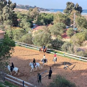 club-equestre-le-grand-bleu (51)