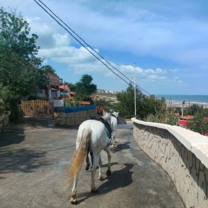 club-equestre-le-grand-bleu (53)