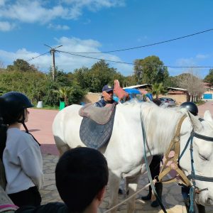 club-equestre-le-grand-bleu (56)