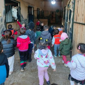 club-equestre-le-grand-bleu (6)