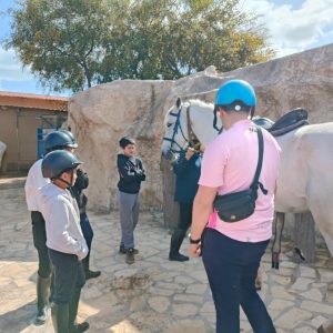 club-equestre-le-grand-bleu (60)