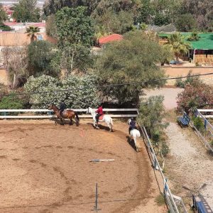 club-equestre-le-grand-bleu (65)
