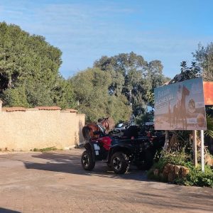 club-equestre-le-grand-bleu (70)