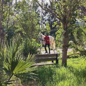 club-equestre-le-grand-bleu (71)