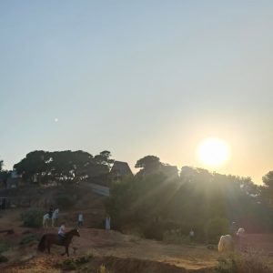 club-equestre-le-grand-bleu (73)