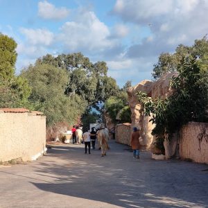 club-equestre-le-grand-bleu (8)