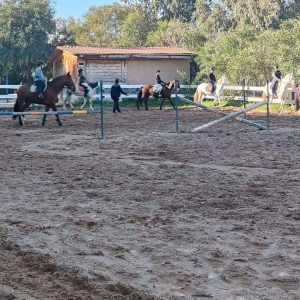 club-equestre-le-grand-bleu (9)