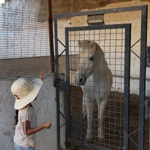 ferme-lemima-aicha (24)