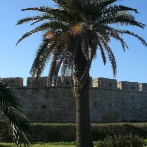 fort-turc-de-tamentfoust-alger (8)