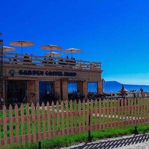 garden-coffee-shop-oran (11)