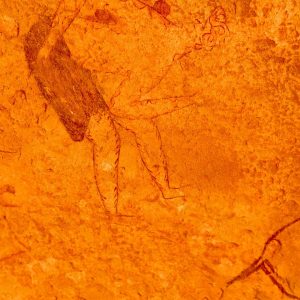 Kabti-Hkayti -Tassili (2)