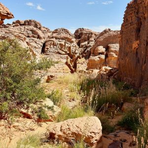 Kabti-Hkayti -Tassili